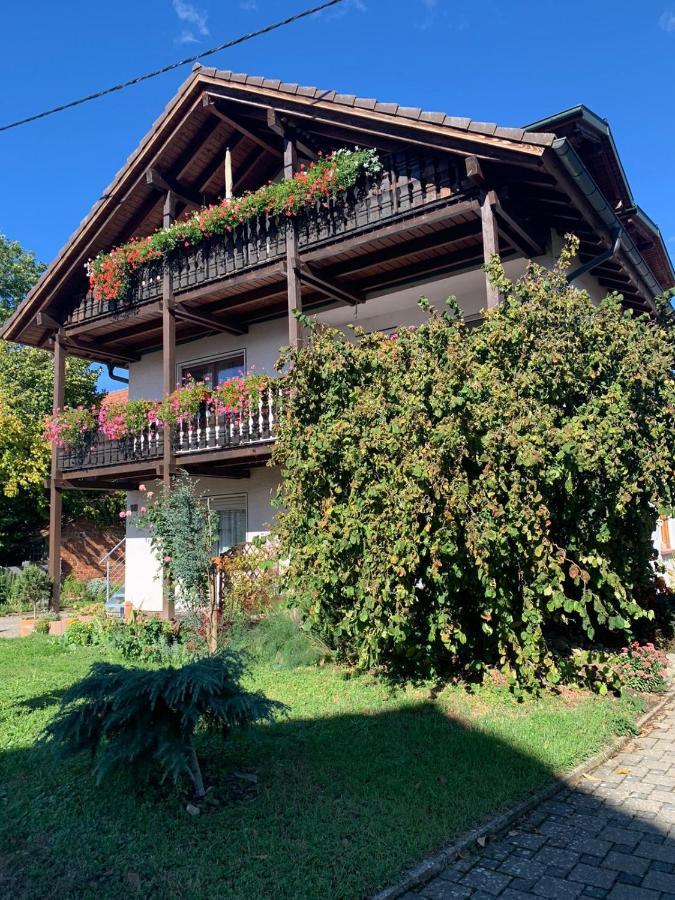Gaestehaus Zum Rhein Райнхаузен Екстериор снимка